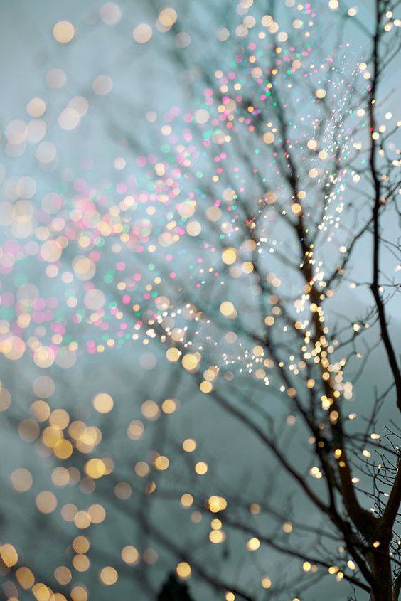 kolorowe światełka na konarach drzew girlandy świąteczne
